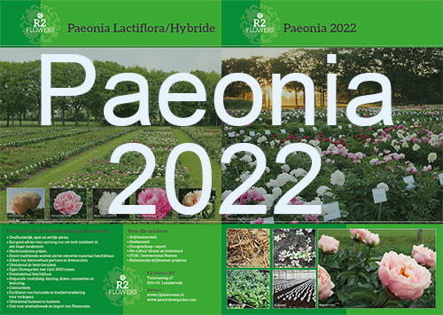 R2 Flowers BV Paeonia folder 2022